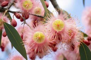 ai generiert schön Gummi Baum Rosa Blumen und Knospen. ai generiert foto