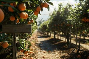 ai generiert Orange Bauernhof im Kalifornien foto