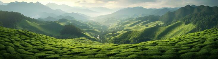 ai generiert ein Grün Hang mit Grün Tee Felder, foto