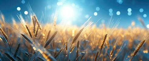 ai generiert ein Feld von geerntet Weizen mit ein Silo foto