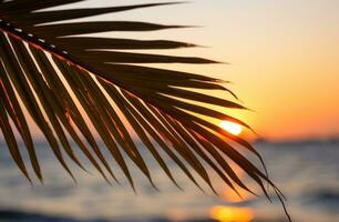 ai generiert Palme Blatt auf Sonne einstellen Über Ozean foto