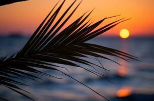 ai generiert Palme Blatt auf Sonne einstellen Über Ozean foto