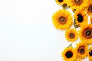 ai generiert Sonnenblumen auf Weiß Hintergrund Sonnenblumen foto