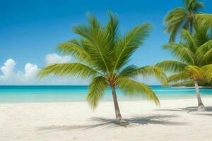 ai generiert Palme Wedel auf sandig Strand. Profi Foto