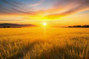 ai generiert golden Stunde Sonnenuntergang auf das Feld. Profi Foto