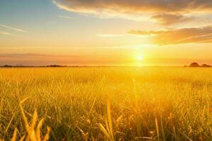 ai generiert golden Stunde Sonnenuntergang auf das Feld. Profi Foto