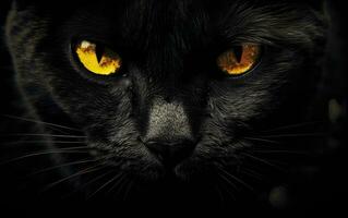 ai generiert das Schnauze von ein schwarz Katze mit Gelb Augen. das Gesicht von ein Katze. foto