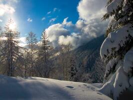 ein schneebedeckt Landschaft mit Bäume und ein Blau Himmel foto
