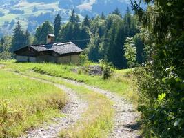 ein Feldweg foto