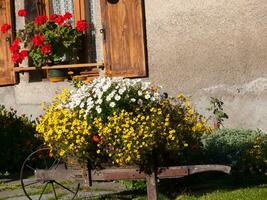 ein hölzern Wagen mit Blumen foto