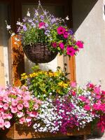 ein Fenster Box mit Blumen foto