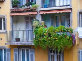 ein Balkon mit Pflanzen foto