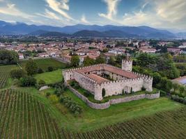 Luftaufnahme einer mittelalterlichen Burg, umgeben von Weinbergen foto