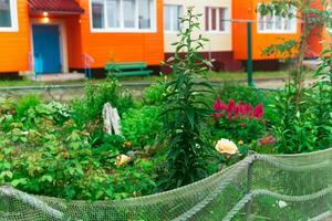 Landschaft Design im ein Strand Dorf, ein Blume Bett ist eingezäunt mit ein alt Angeln Netz foto