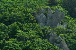 Hintergrund, Landschaft - - Felsen unter das Berg breitblättrig Wald foto