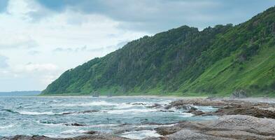 Küsten Landschaft, schön bewaldet Felsen auf das Grün Küste von Kunaschir Insel foto