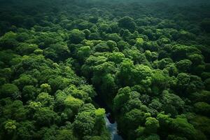 ai generiert Antenne oben Aussicht Wald Baum, Regenwald Ökosystem und gesund Umgebung Konzept und Hintergrund, Textur von Grün Baum Wald Aussicht von über foto