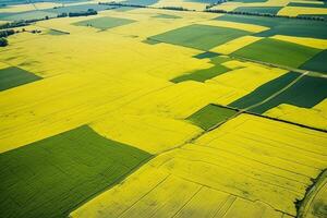 ai generiert Antenne Aussicht mit das Landschaft Geometrie Textur von ein Menge von Landwirtschaft Felder mit anders Pflanzen mögen Raps im Blühen Jahreszeit und Grün Weizen. Landwirtschaft und Landwirtschaft Industrie. foto