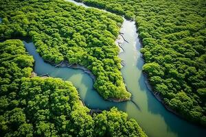 ai generiert Drohne Antenne Vögel Auge Aussicht von ein groß Grün Gras Wald mit hoch Bäume und ein groß Blau biegsam Fluss fließend durch das Wald foto