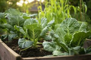 ai generiert frisch organisch Brüssel Sprossen wachsend im das Garten. wachsend besitzen Früchte, Gemüse. ai generiert foto