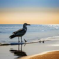 ai generiert Möwe auf das Strand unter Blau Himmel. foto