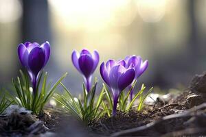 ai generiert Frühling lila Krokus Blume. ai generiert foto