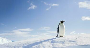 ai generiert Pinguin Stehen im Antarktis suchen in das Blau Himmel. ai generiert foto