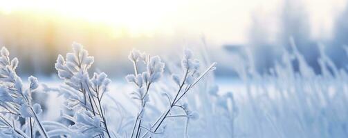 ai generiert gefroren schneebedeckt Gras, Winter natürlich abstrakt Hintergrund. schön Winter Landschaft. ai generiert foto