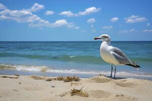 ai generiert Möwe auf das Strand unter Blau Himmel. foto