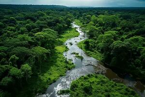 ai generiert Drohne Antenne Vögel Auge Aussicht von ein groß Grün Gras Wald mit hoch Bäume und ein groß Blau biegsam Fluss fließend durch das Wald foto