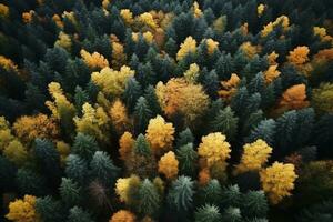 ai generiert Antenne. Herbst Wald Aussicht von über. Herbst Natur Landschaft. foto