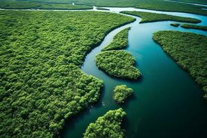 ai generiert Drohne Antenne Vögel Auge Aussicht von ein groß Grün Gras Wald mit hoch Bäume und ein groß Blau biegsam Fluss fließend durch das Wald foto