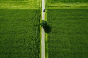 ai generiert Ladung LKW auf das Autobahn. Ladung Lieferung Fahren auf Asphalt Straße durch das Berge. gesehen von das Luft. Antenne Aussicht Landschaft. Drohne Fotografie. foto