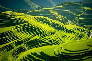 ai generiert oben Aussicht oder Antenne Schuss von frisch Grün und Gelb Reis Felder foto
