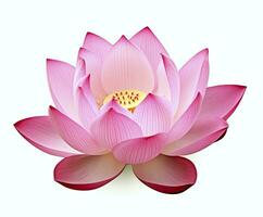 ai generiert Lotus Blume auf Weiß Hintergrund. ai generiert foto