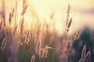 ai generiert wild Gras im das Wald beim Sonnenuntergang. abstrakt Sommer- Natur Hintergrund. generativ ai foto