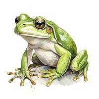 ai generiert Aquarell Grün Frosch auf Weiß Hintergrund. ai generiert foto