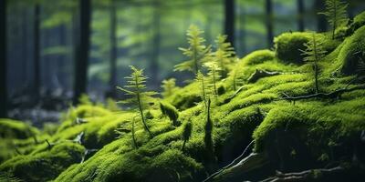 ai generiert Grün Moos Nahaufnahme, mit ein Hintergrund von Wald. Wald im das National Park. ai generiert foto