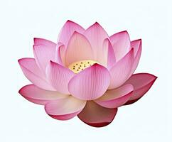 ai generiert Lotus Blume auf Weiß Hintergrund. ai generiert foto