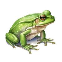 ai generiert Aquarell Grün Frosch auf Weiß Hintergrund. ai generiert foto