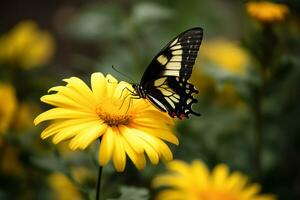 ai generiert ein Gelb und schwarz Schmetterling Barsch auf ein Gelb Blume foto
