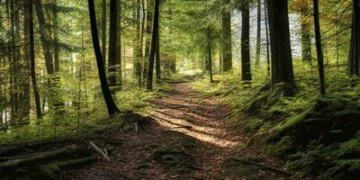 ai generiert ein Straße mit schön Wald. ai generiert foto