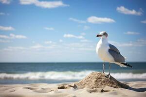 ai generiert Möwe auf das Strand unter Blau Himmel. foto