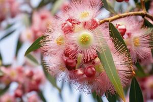 ai generiert schön Gummi Baum Rosa Blumen und Knospen. ai generiert foto