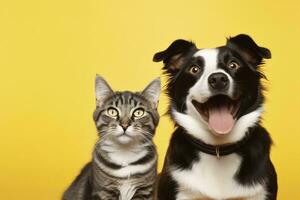ai generiert Katze und Hund zusammen mit glücklich Ausdrücke auf Gelb Hintergrund. ai generiert foto