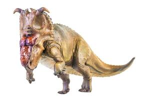 Pachyrhinosaurus Dinosaurier auf isoliert Hintergrund foto