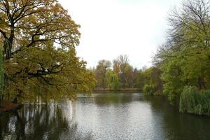 schön Natur Herbst Landschaft mit See. Landschaft Aussicht auf Herbst Stadt Park mit golden Gelb Laub im wolkig Tag foto