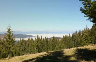 montieren hoverla hängend Gipfel von das ukrainisch Karpaten gegen das Hintergrund von das Himmel foto