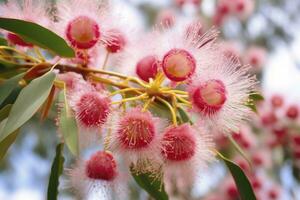 ai generiert schön Gummi Baum Rosa Blumen und Knospen. ai generiert foto