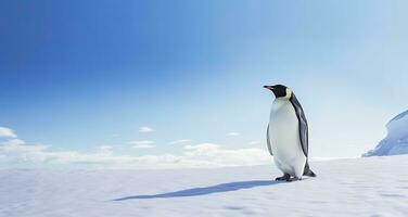 ai generiert Pinguin Stehen im Antarktis suchen in das Blau Himmel. ai generiert foto